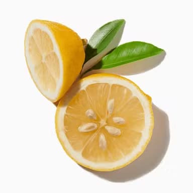Bright Citrus
