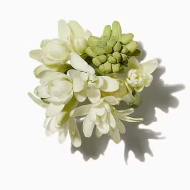 Tuberose