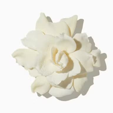 White Floral