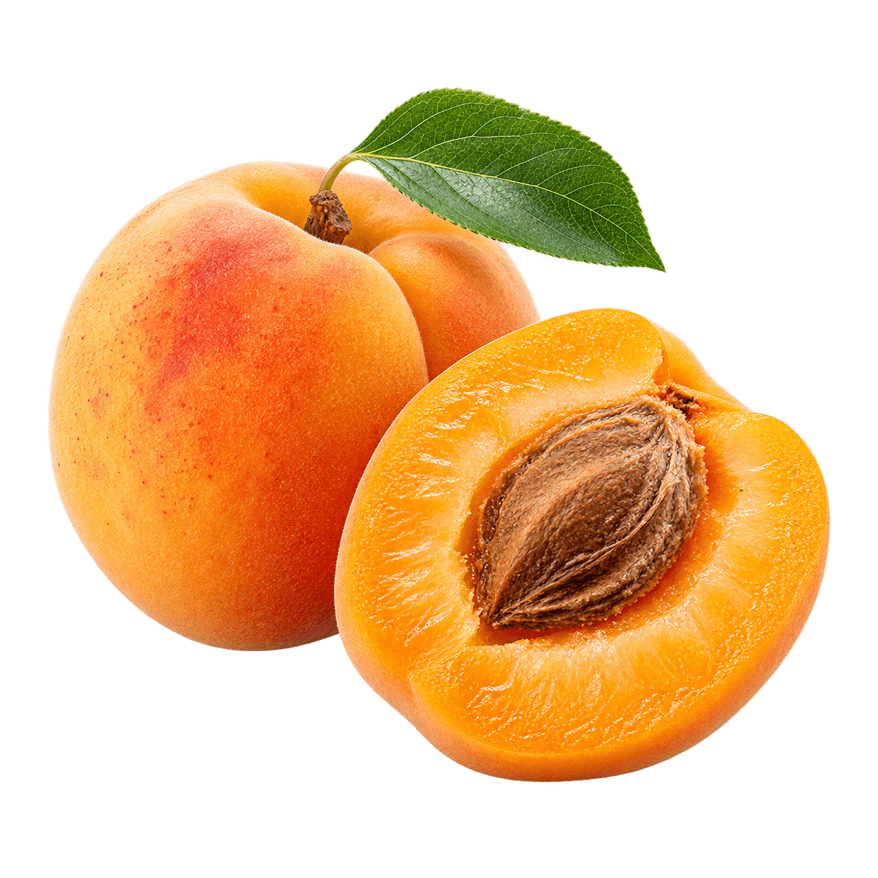 Apricot