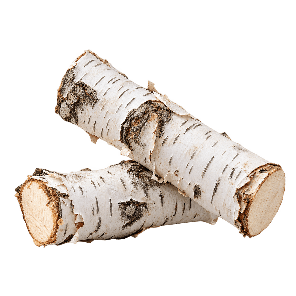 Birch