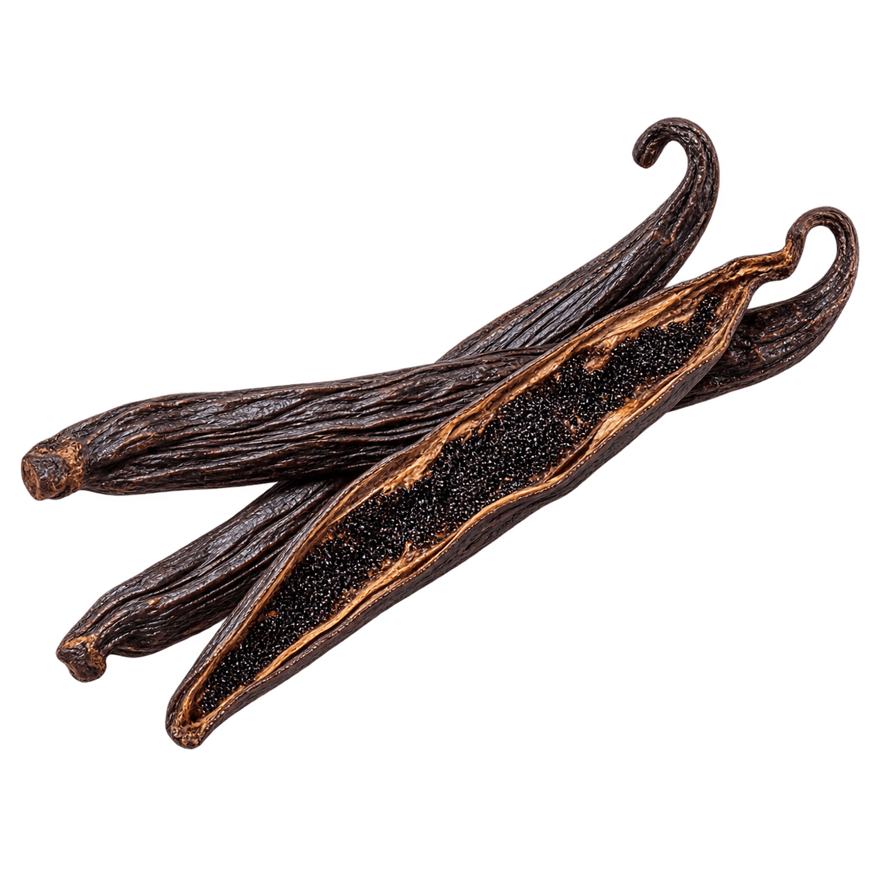 Black Vanilla Husk