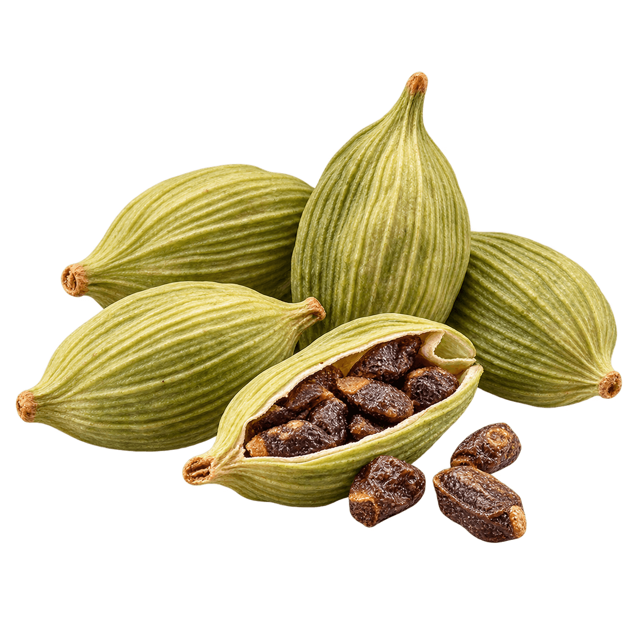 Cardamom