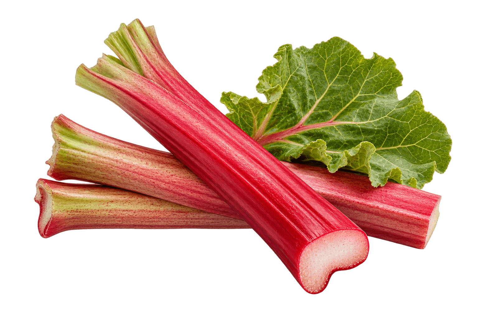 Rhubarb