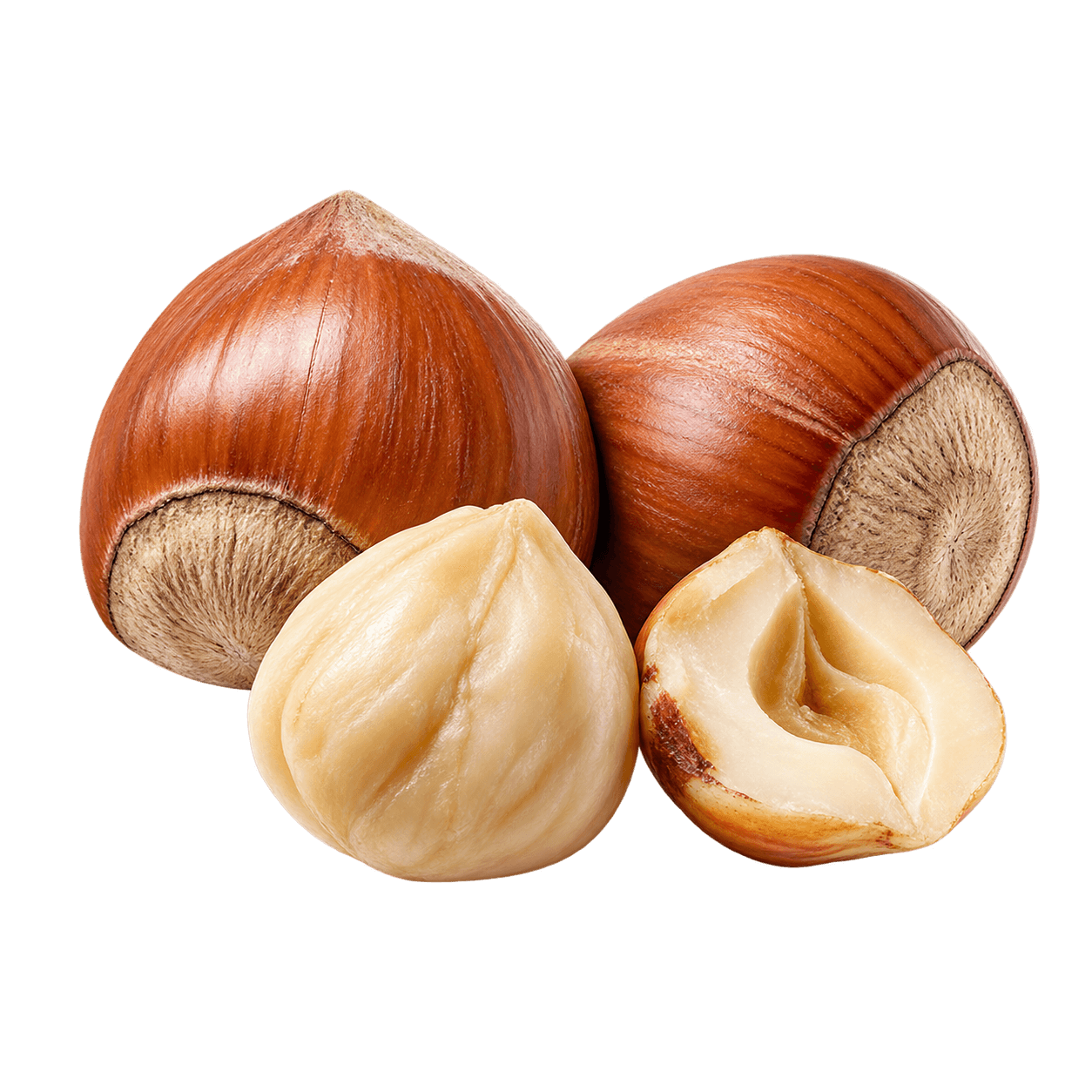 Hazelnut