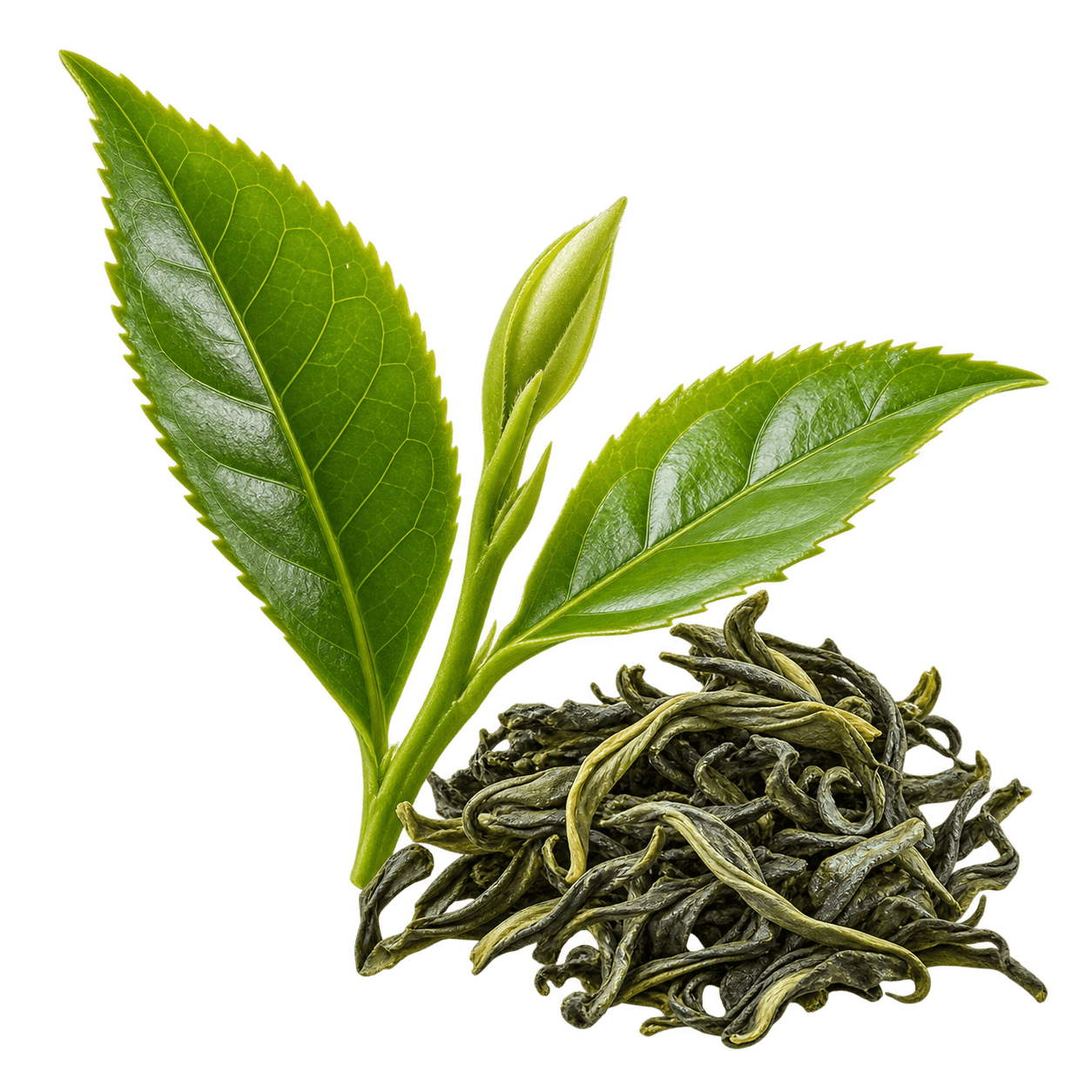 Green Tea