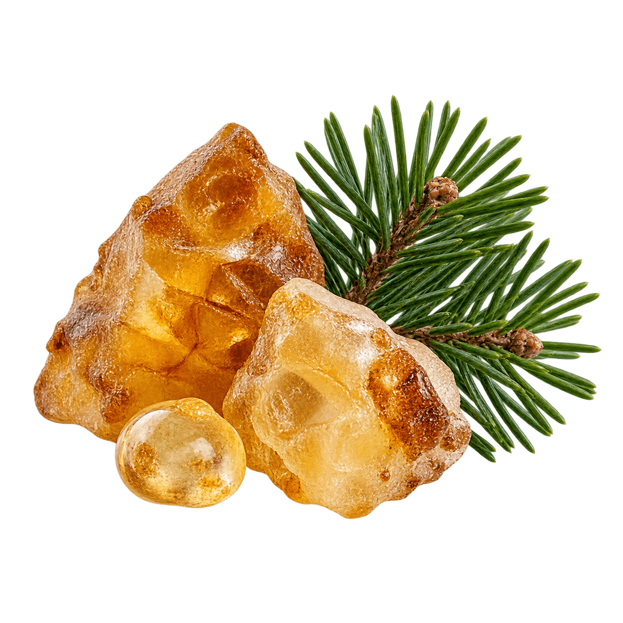 Fir Resin