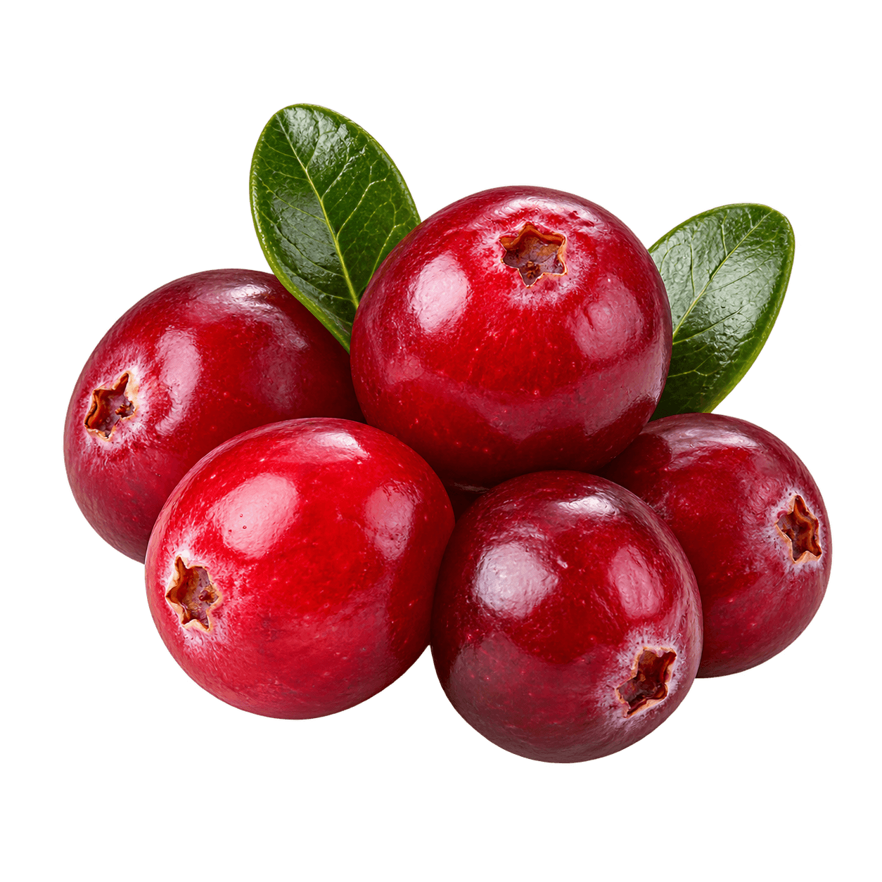 Cranberry