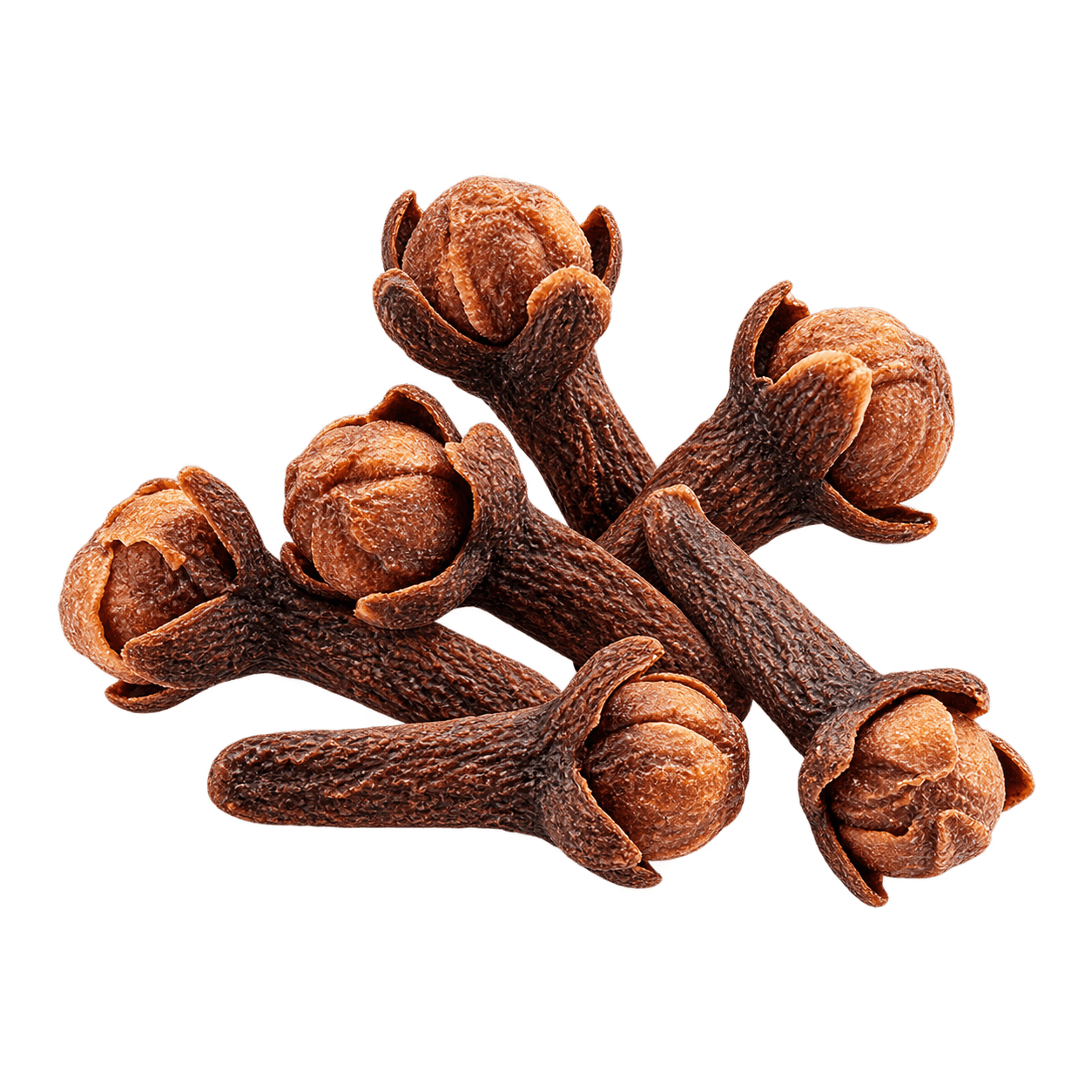 Clove