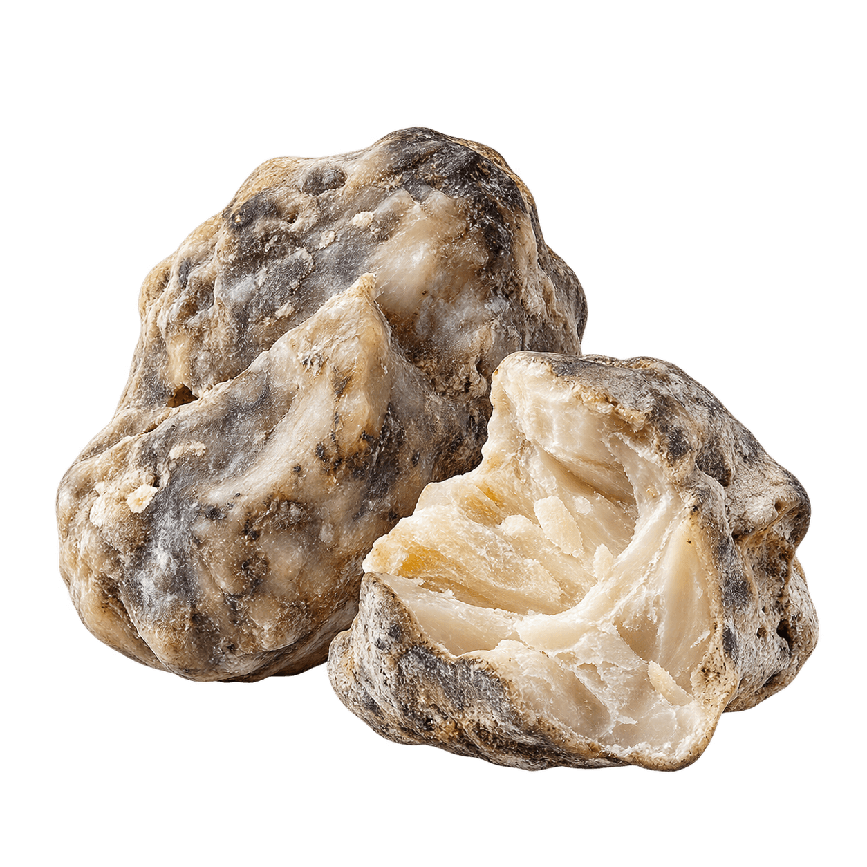 Ambergris