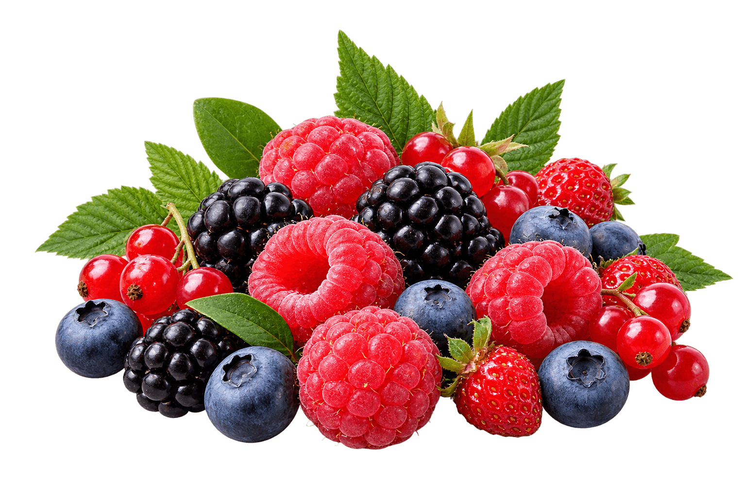 Wild Berries