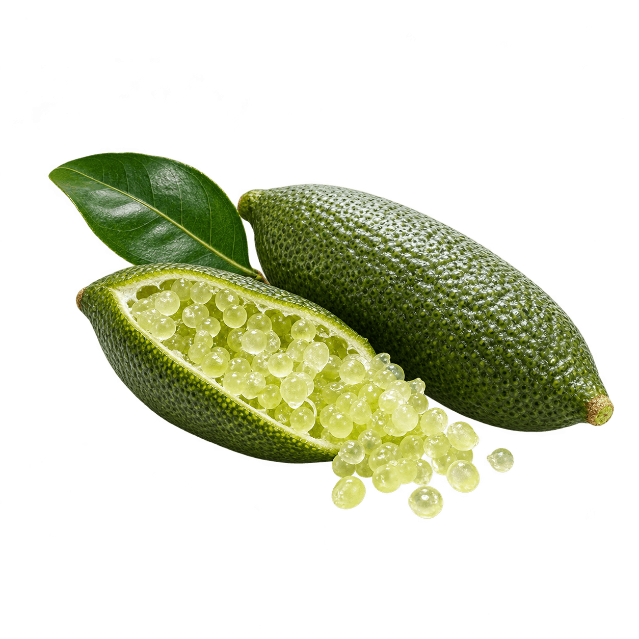 Finger Lime