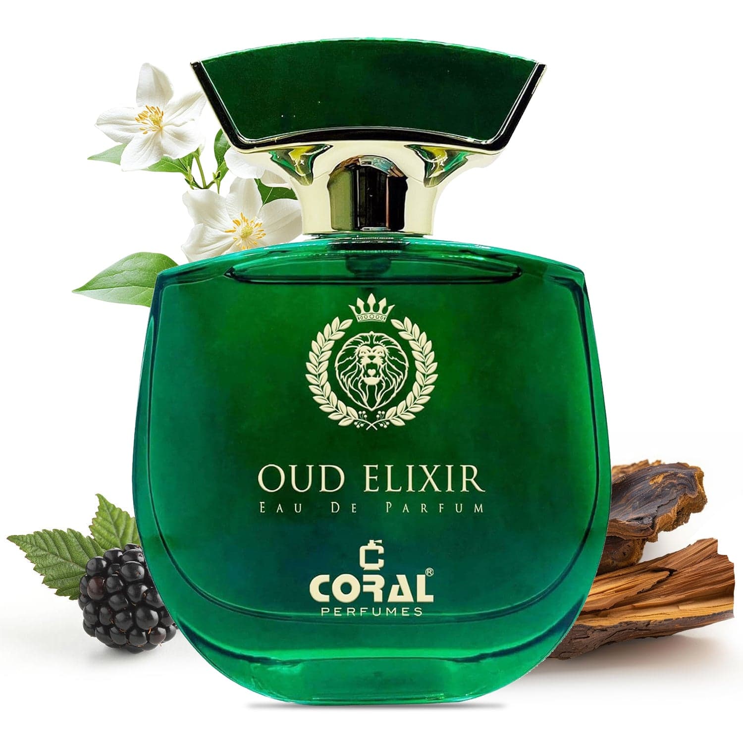 Coral Oud Elixir Perfume for Men & Women 100ml | Long-Lasting Oriental Fruity EDP | Premium Long-Lasting Fragrance