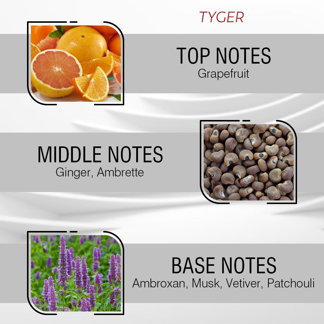 Beast Perfume Oil For Men – Inspired by Týgàr