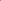 Coral Ruby Eau de Parfum for Women – 100ml