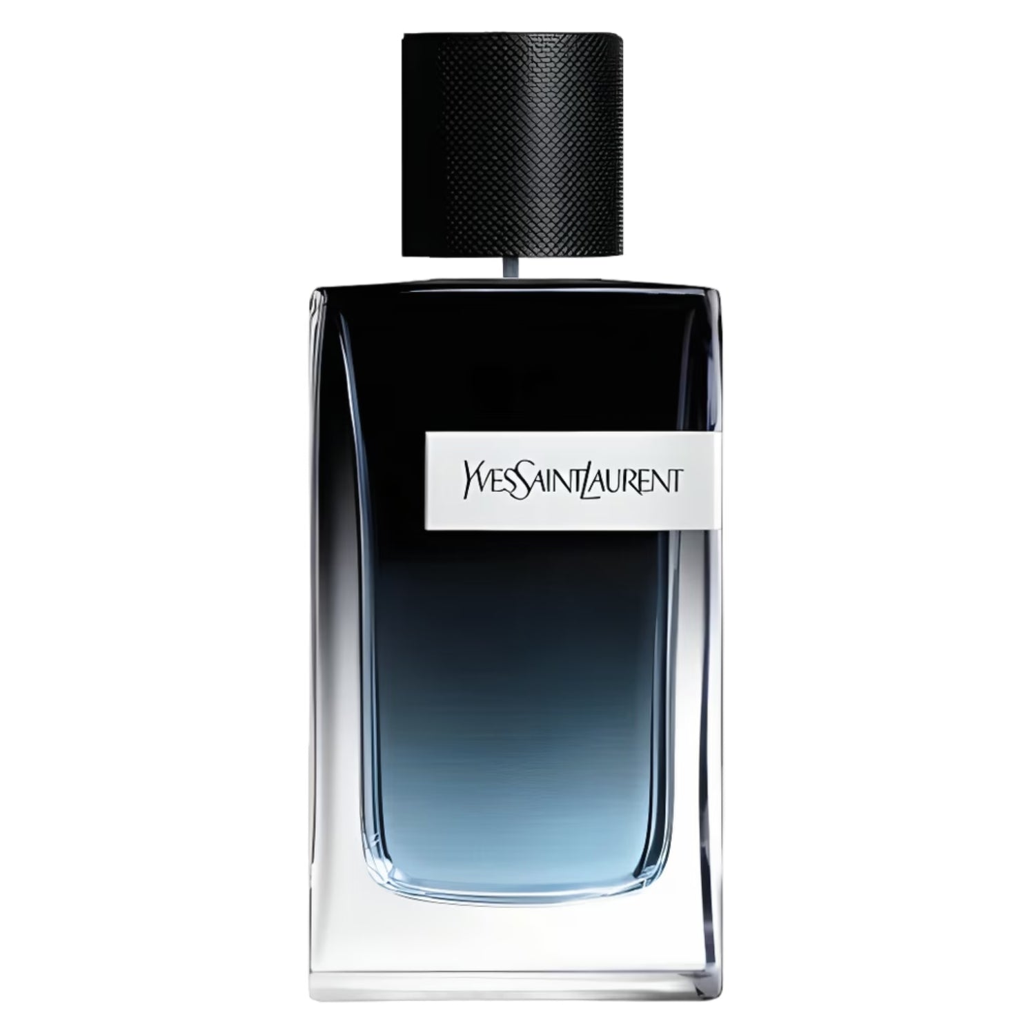 YSL Y Pour Homme EDP - 100ml – Coral Perfumes India