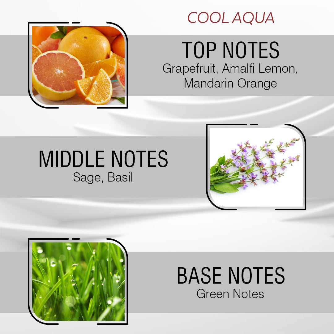 Aqua Breeze Perfume Oil For Men 10 ml – Inspired by Còol Wàter