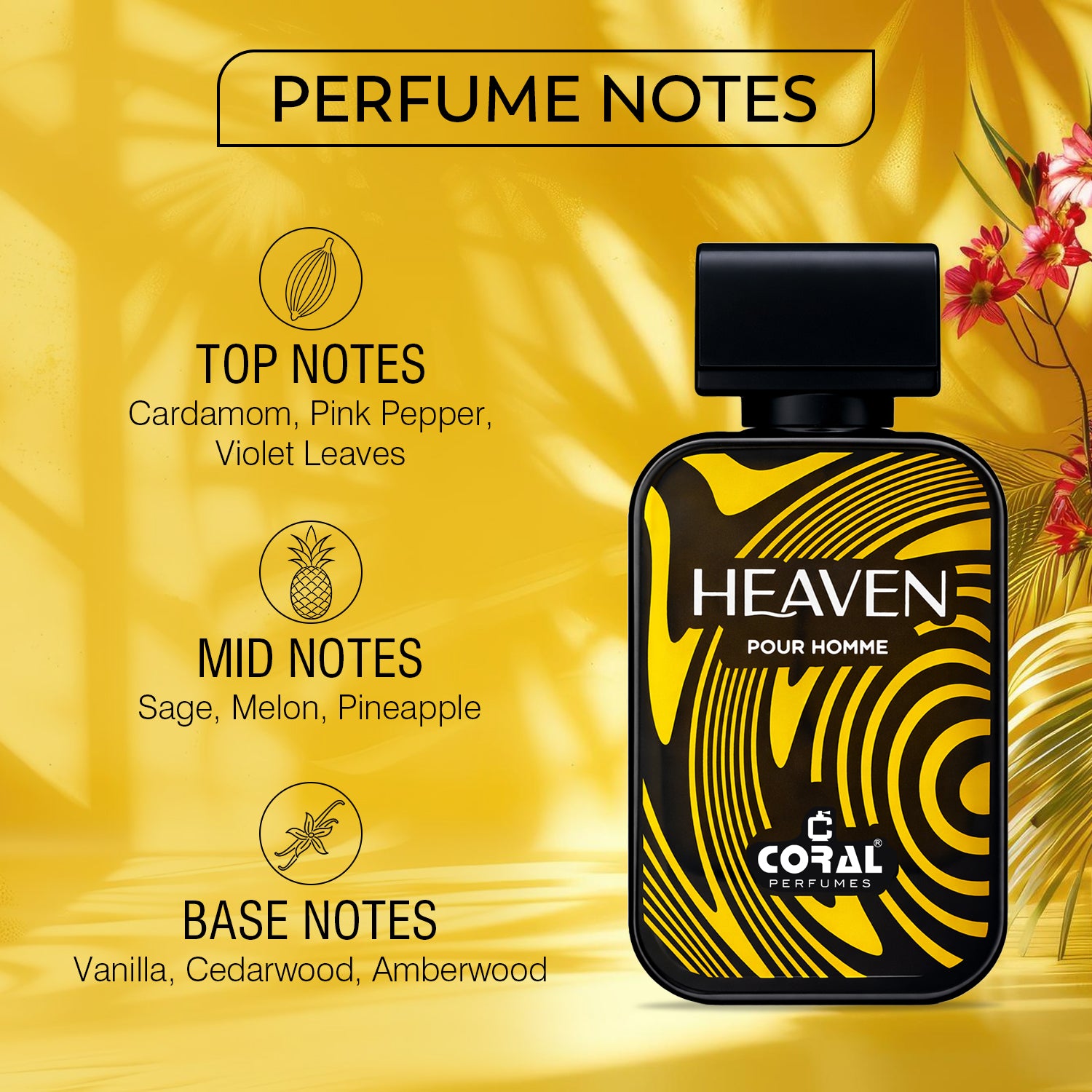 Coral Men's Signature Trio Perfume Set – Sunshine, Divine & Heaven Pour Homme EDP (100ml Each)
