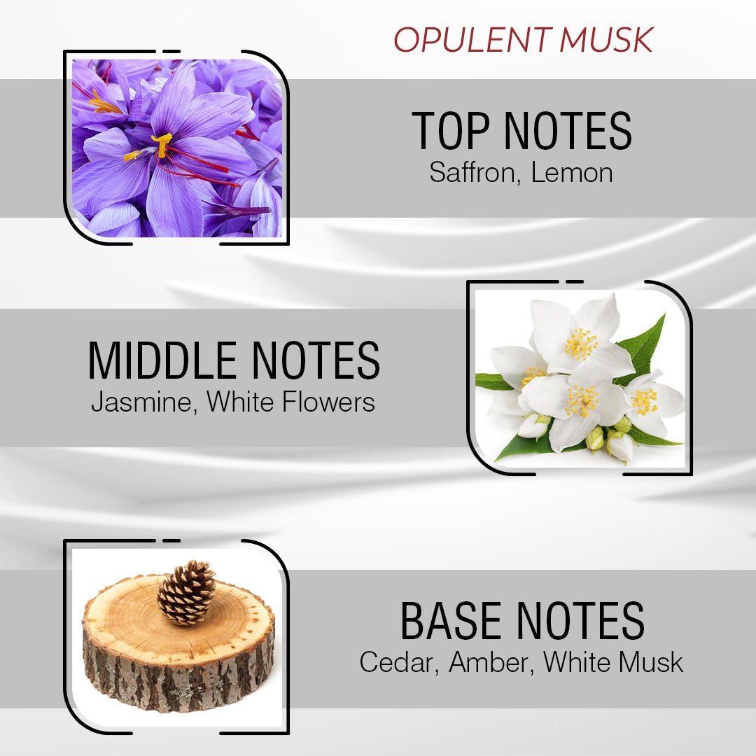 Velour Musk Perfume Oil for Women 10 ml – Inspired By Opulánt Mùsk