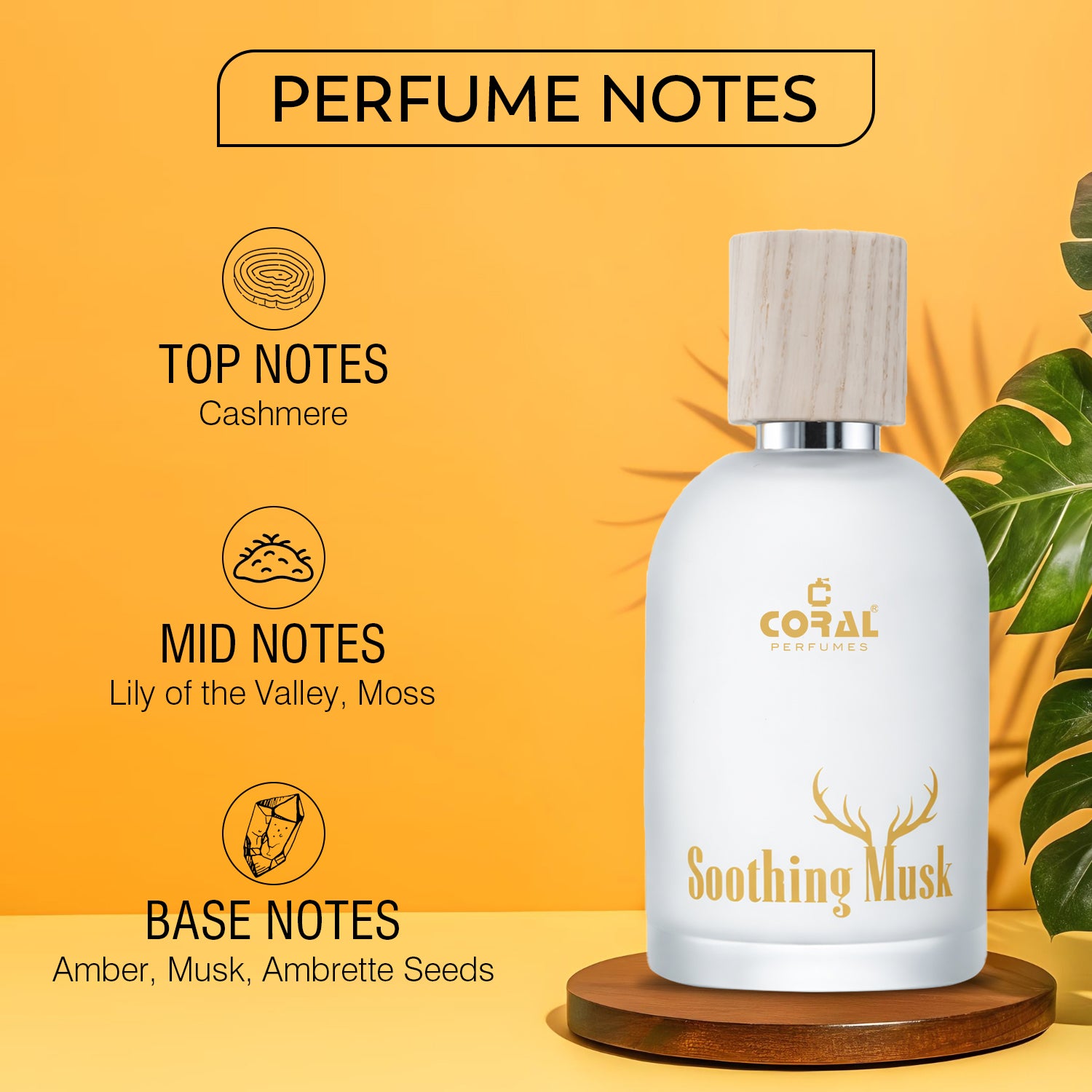 Coral Soothing Musk For Unisex EDP 50ml