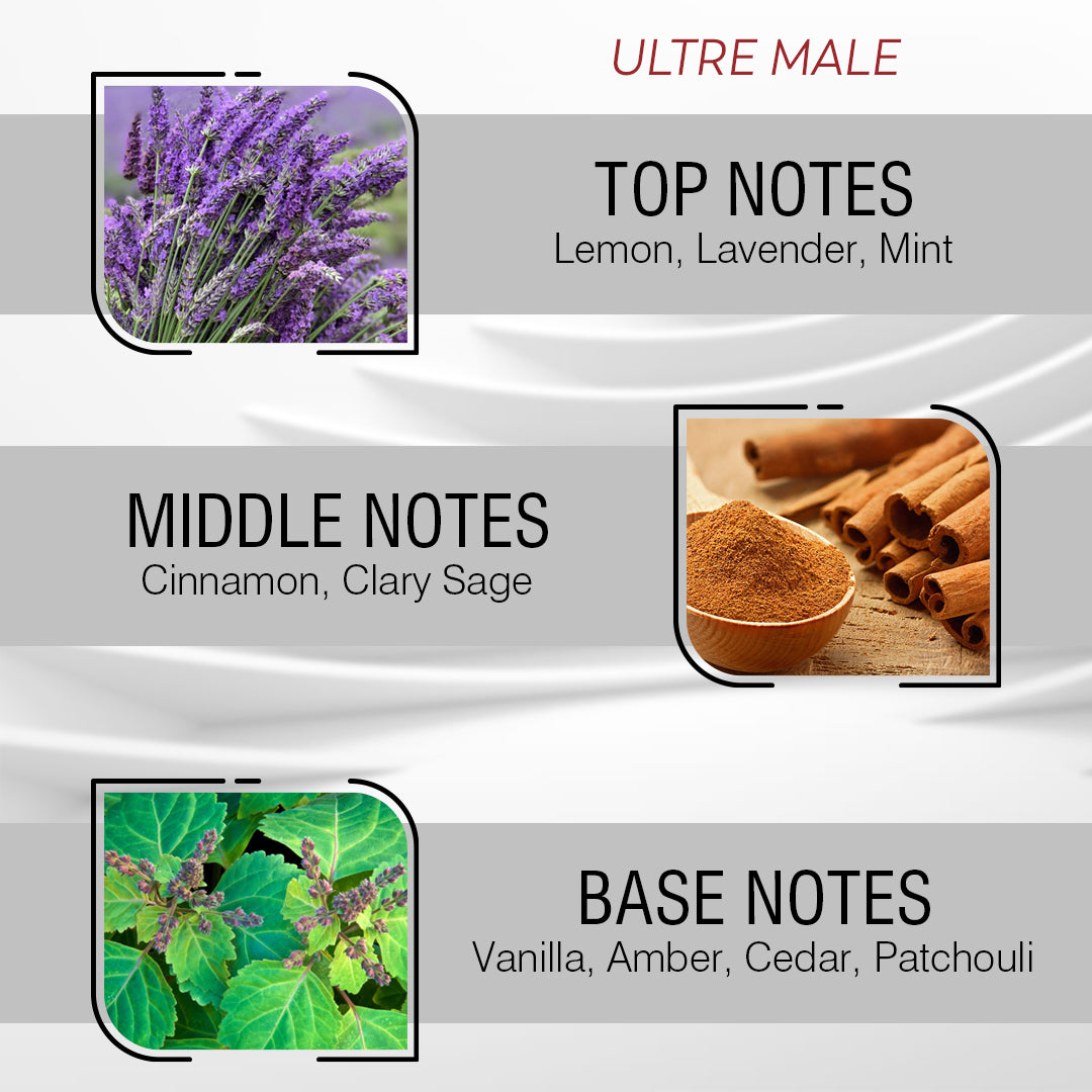 Alpha Rush Perfume Oil for Men – Inspired By Ultra Mále